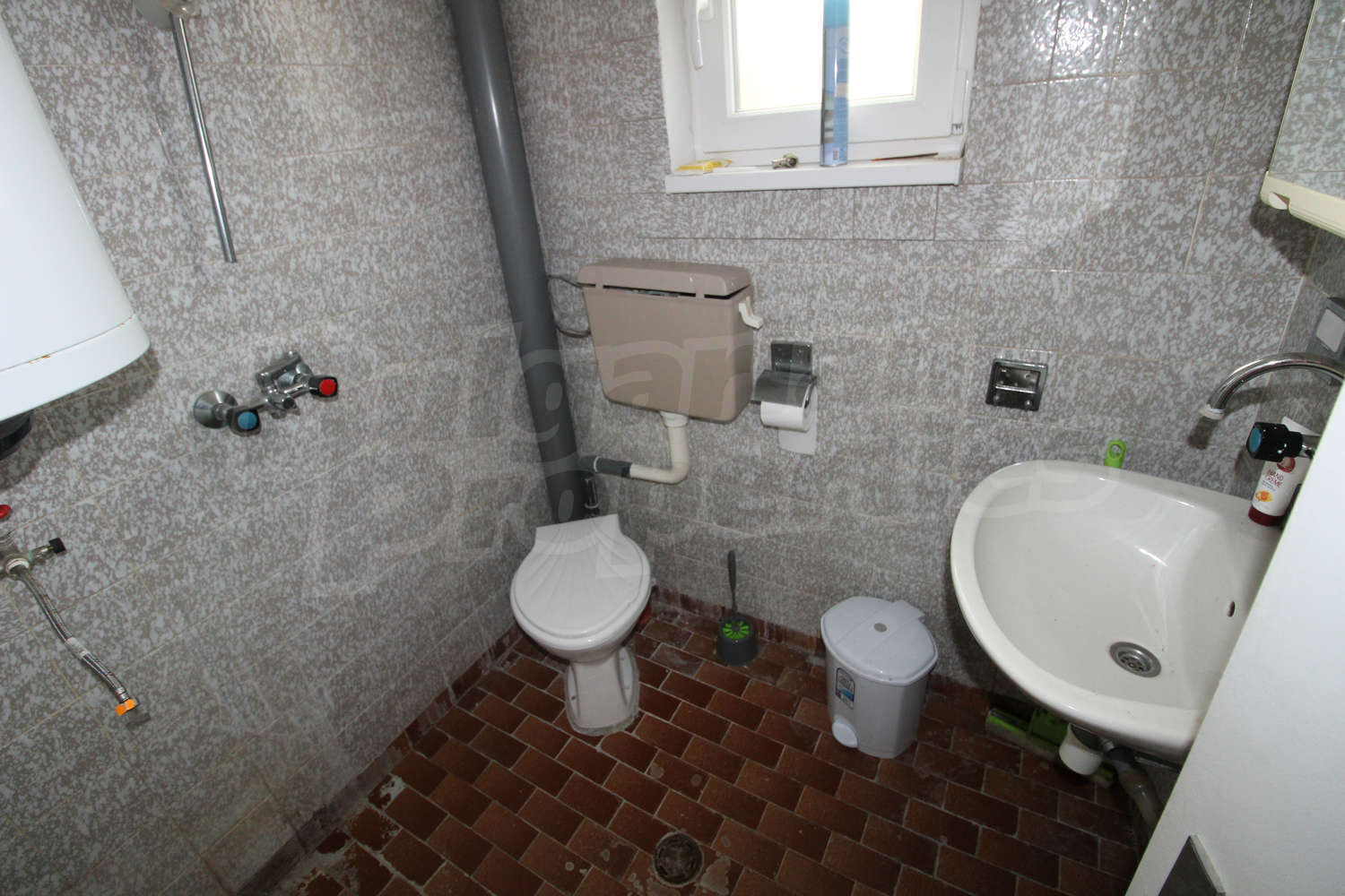 Gallery Picture 37