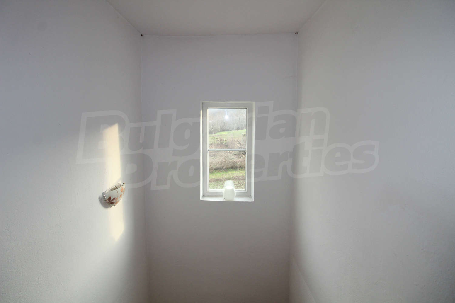 Gallery Picture 39