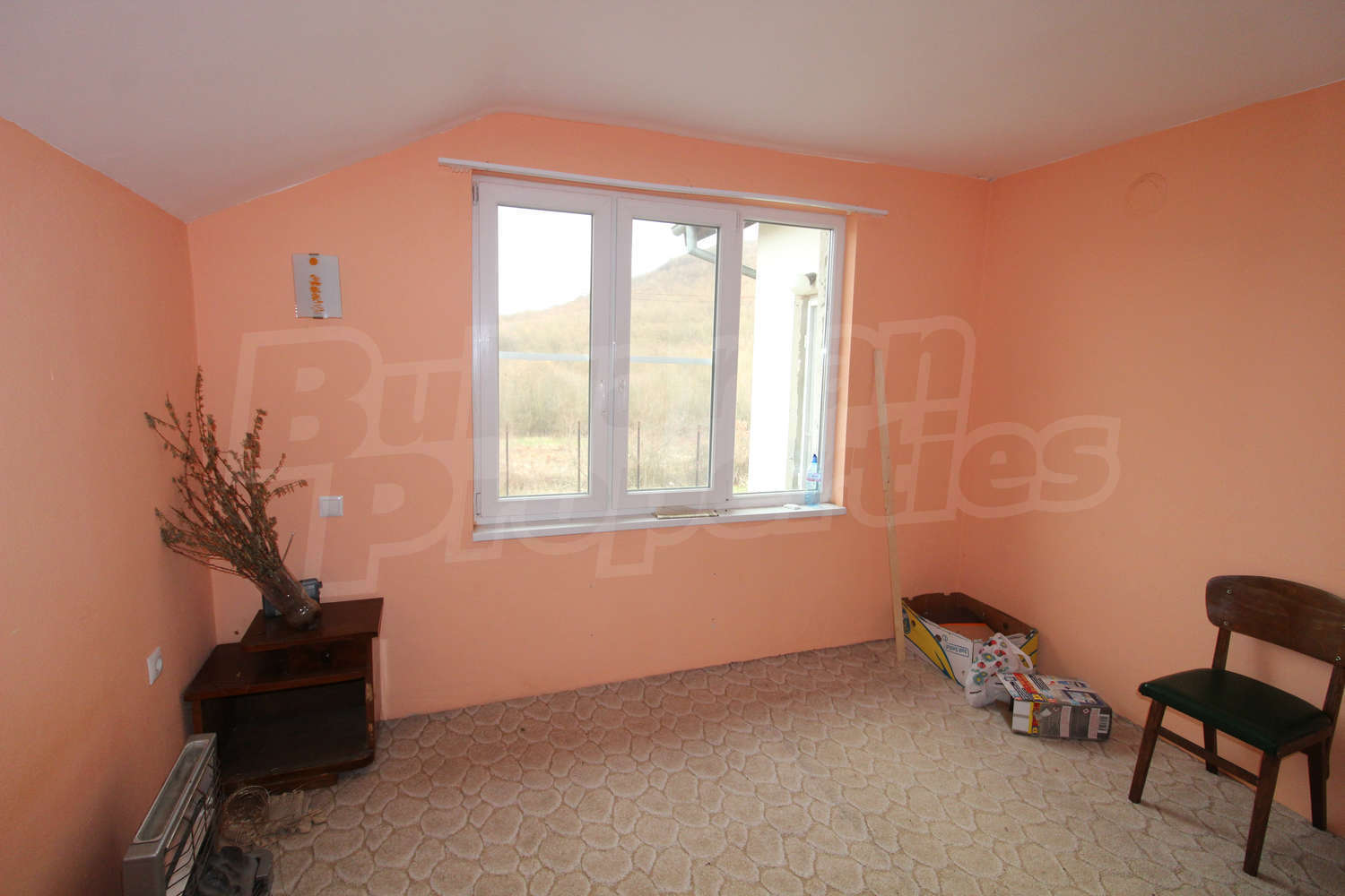 Gallery Picture 43