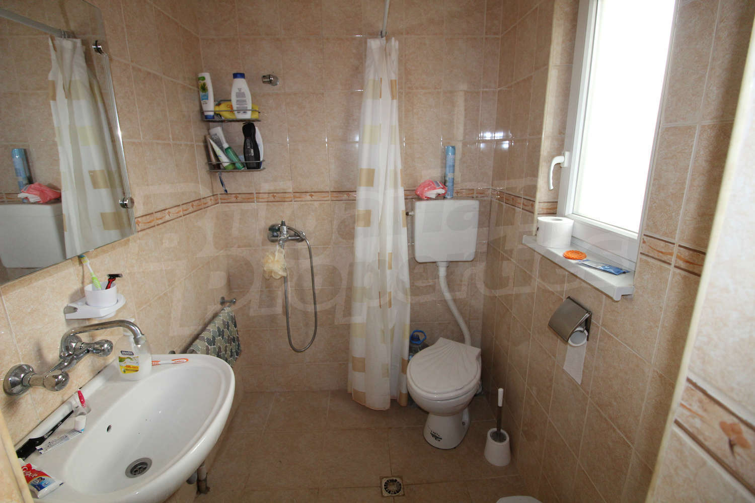 Gallery Picture 47