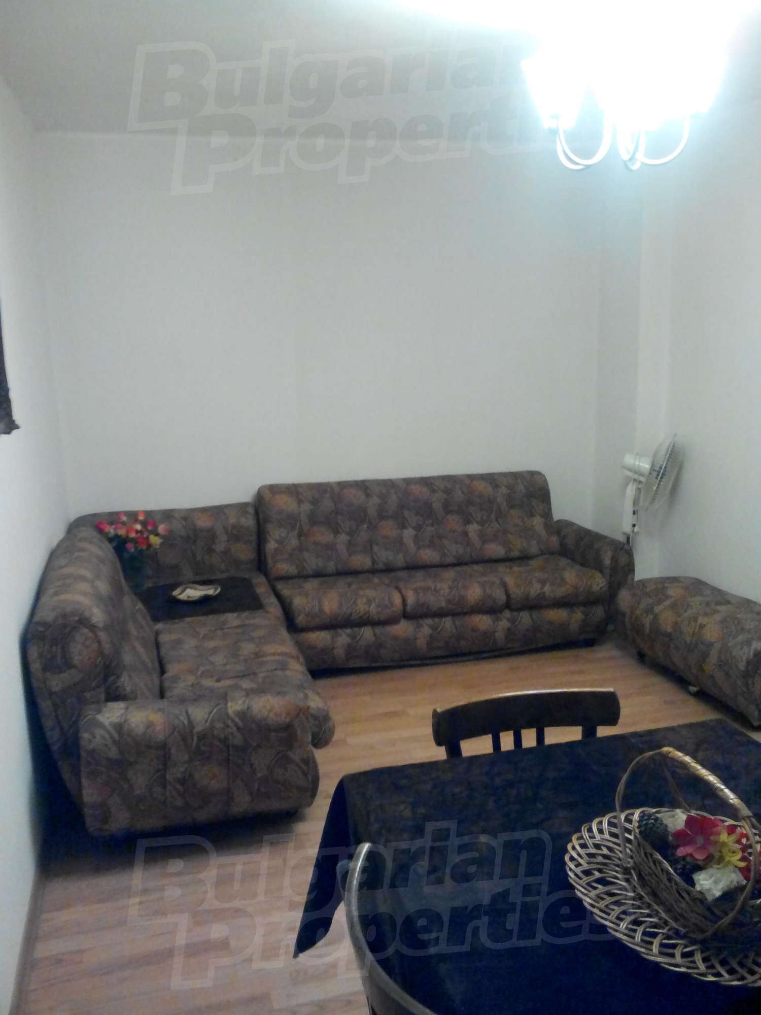 Gallery Picture 8