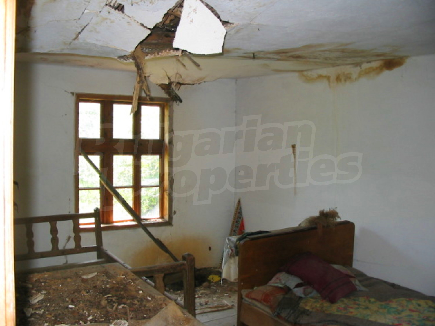 Gallery Picture 10