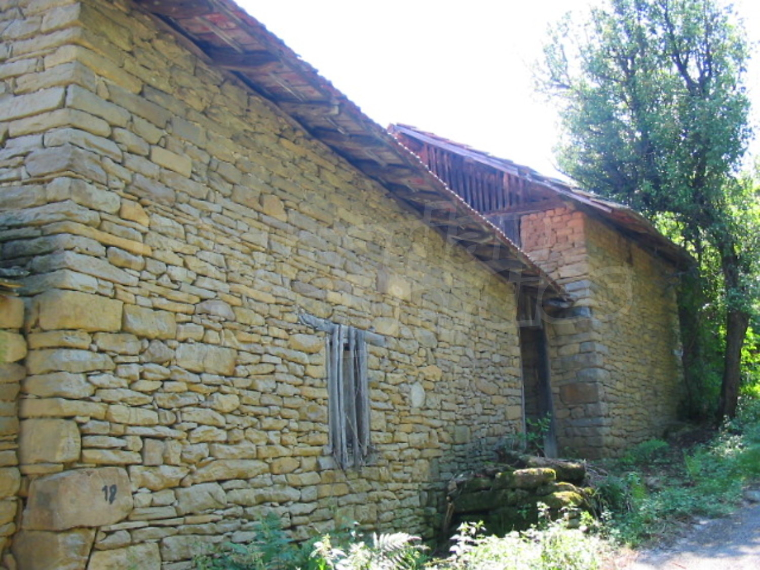 Gallery Picture 13