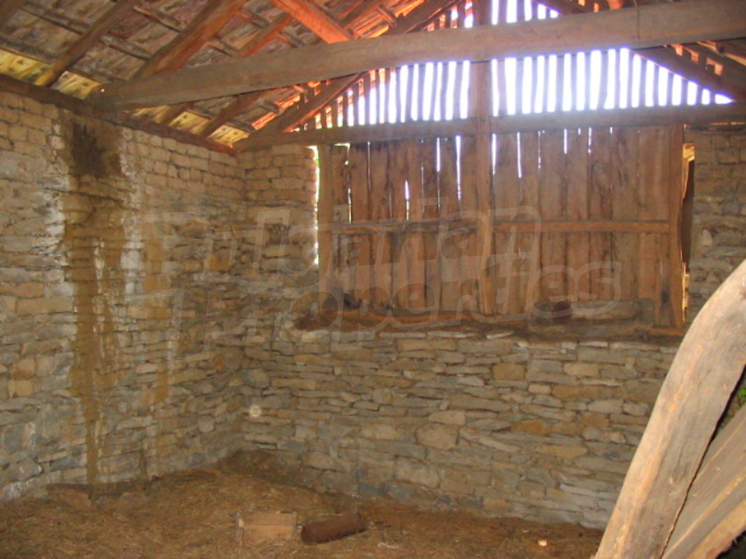Gallery Picture 14