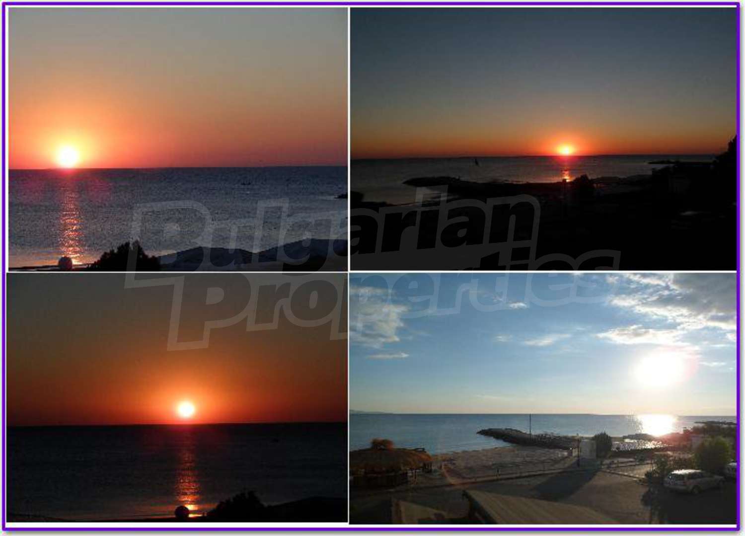 Gallery Picture 11