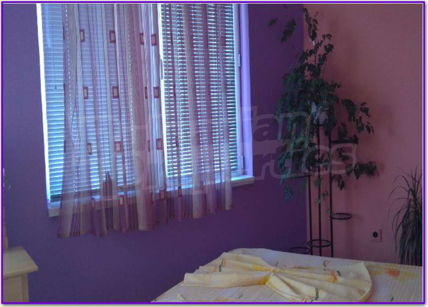 Gallery Picture 7