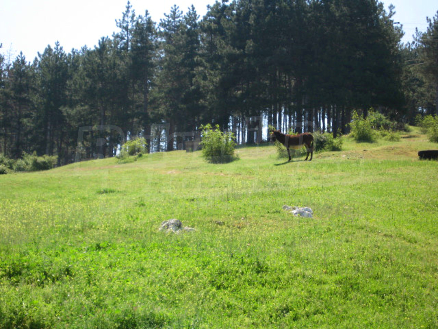 Gallery Picture 10