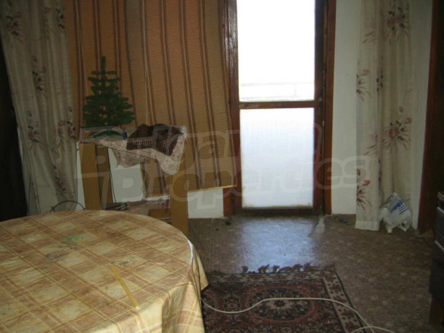 Gallery Picture 13