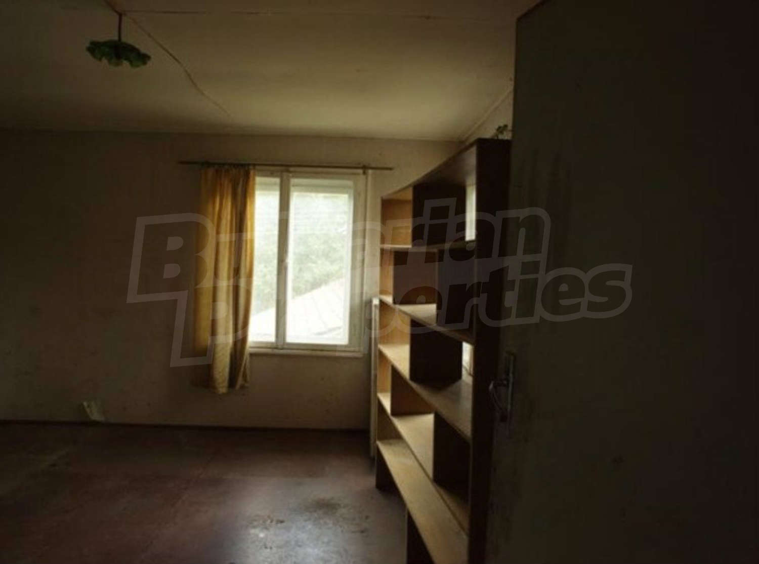 Gallery Picture 13