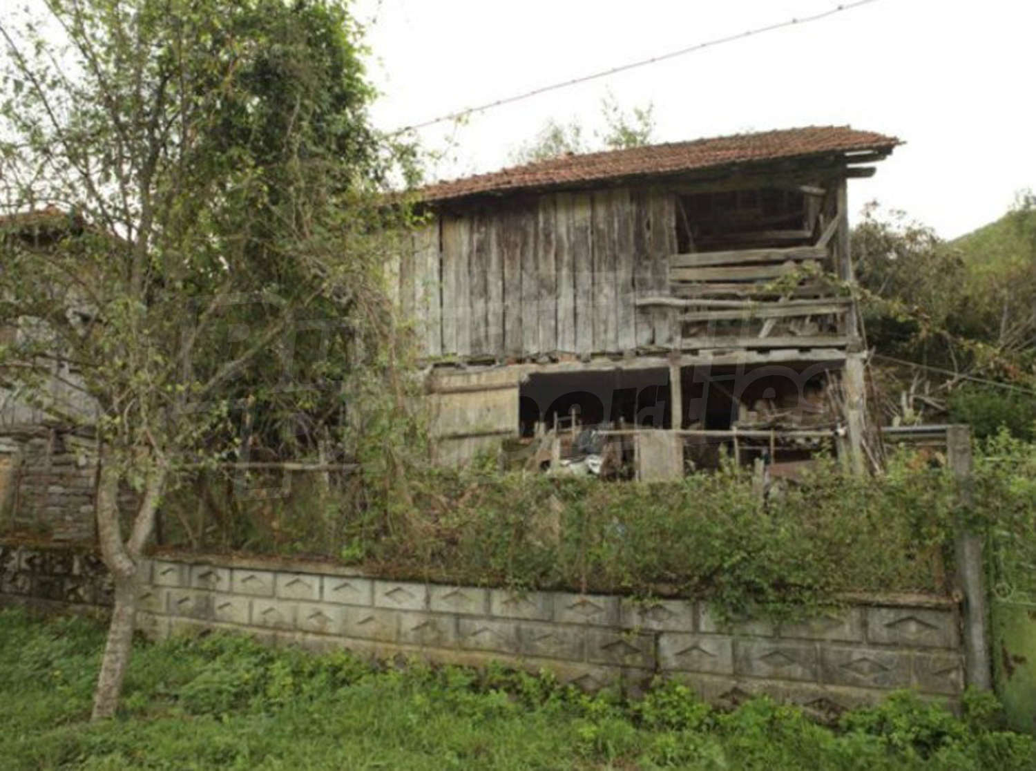 Gallery Picture 18