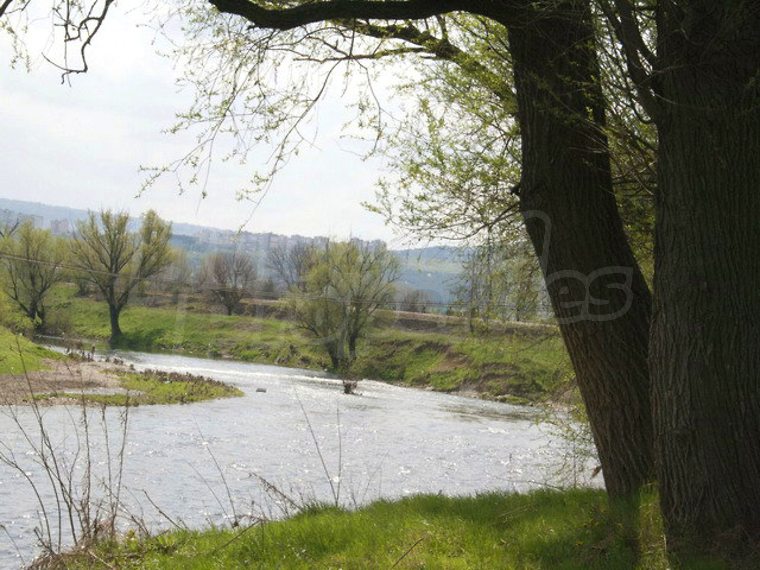 Gallery Picture 19