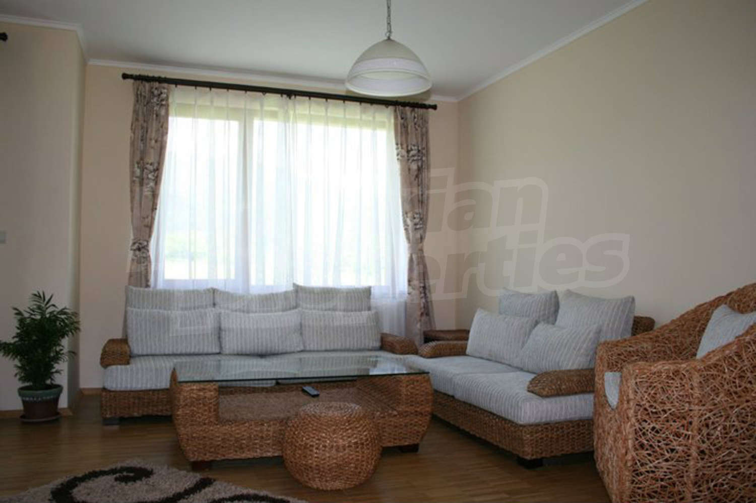 Gallery Picture 12