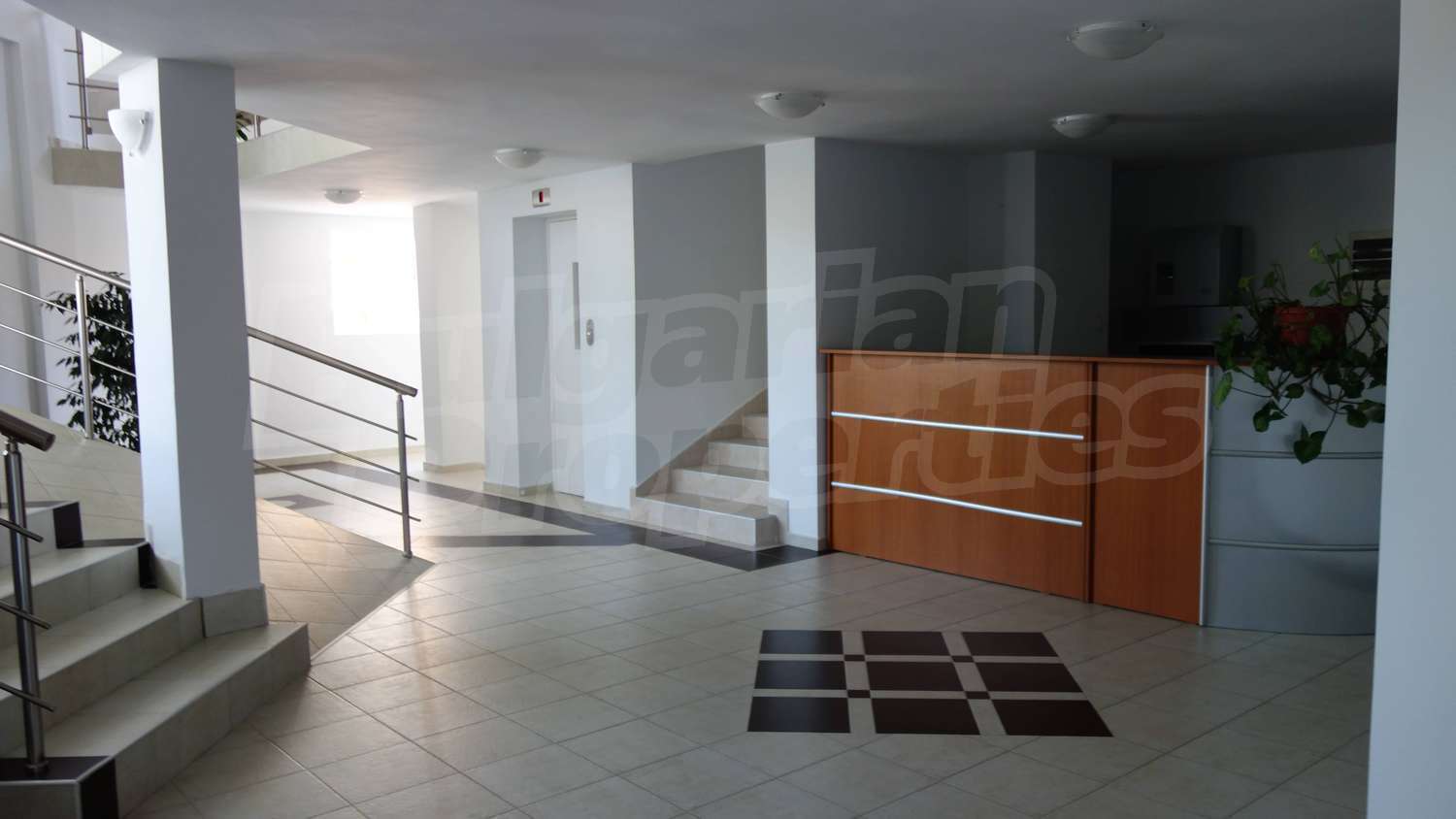 Gallery Picture 25