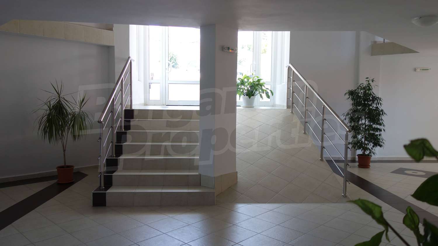 Gallery Picture 26