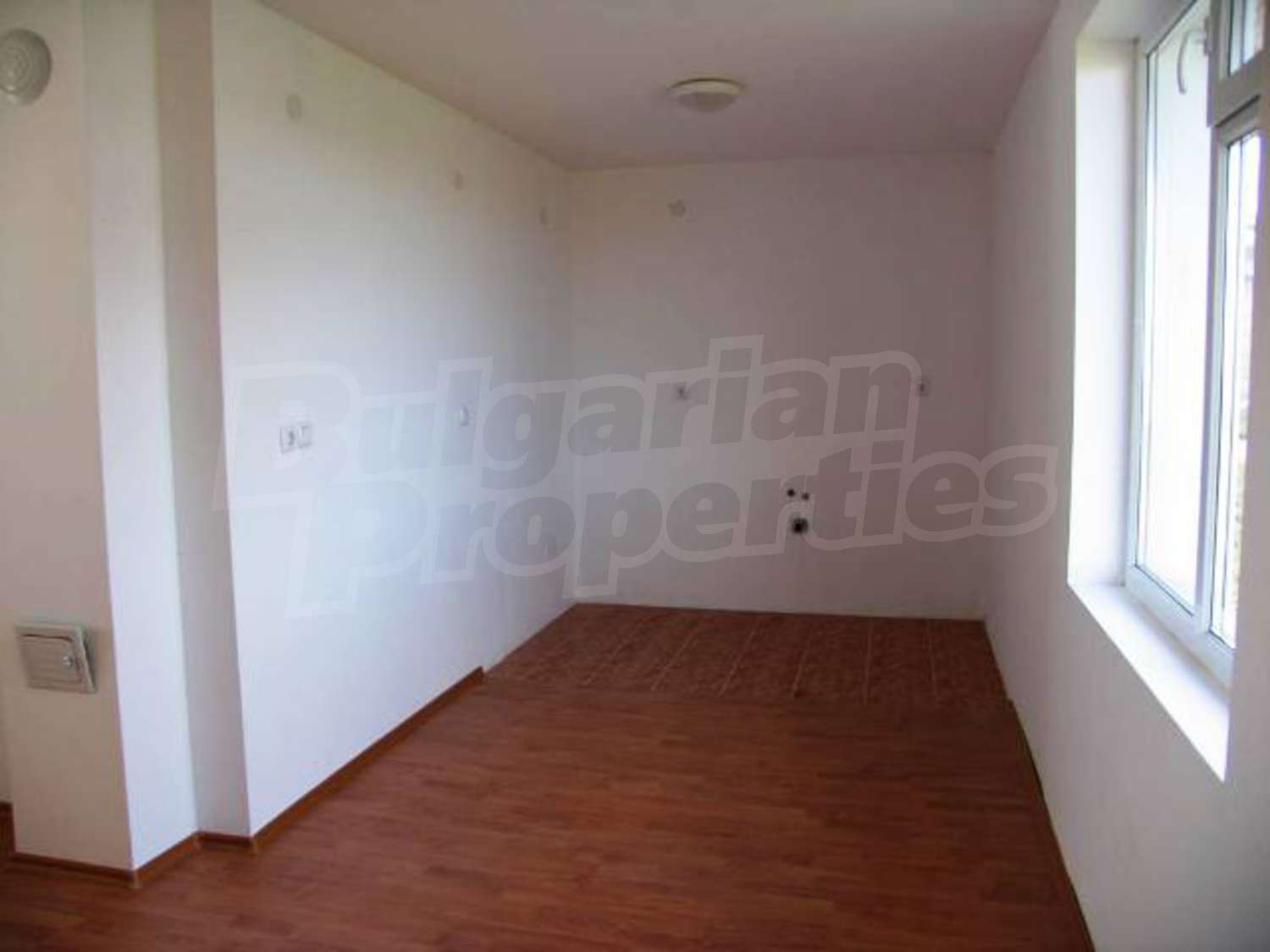 Gallery Picture 13