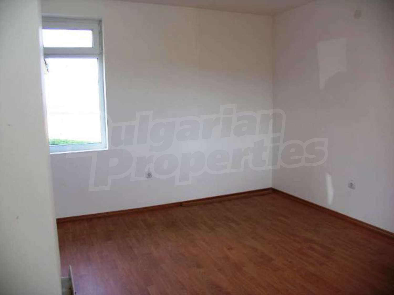 Gallery Picture 14
