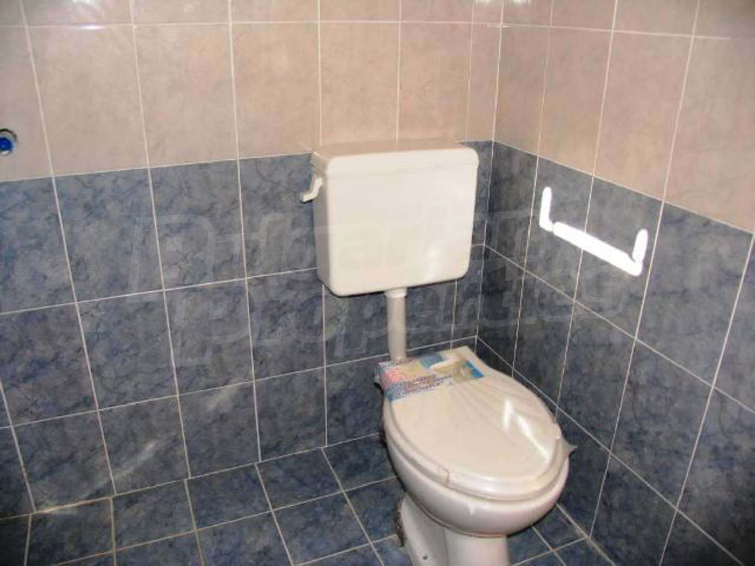 Gallery Picture 18