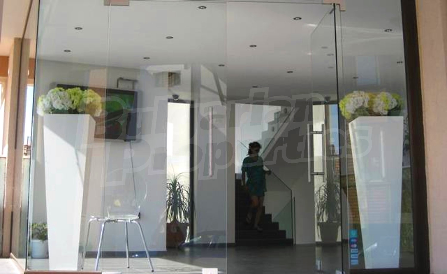 Gallery Picture 8