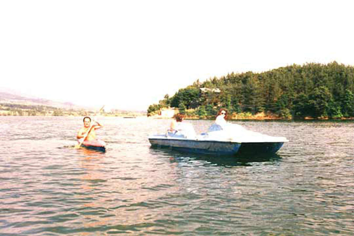 Gallery Picture 10