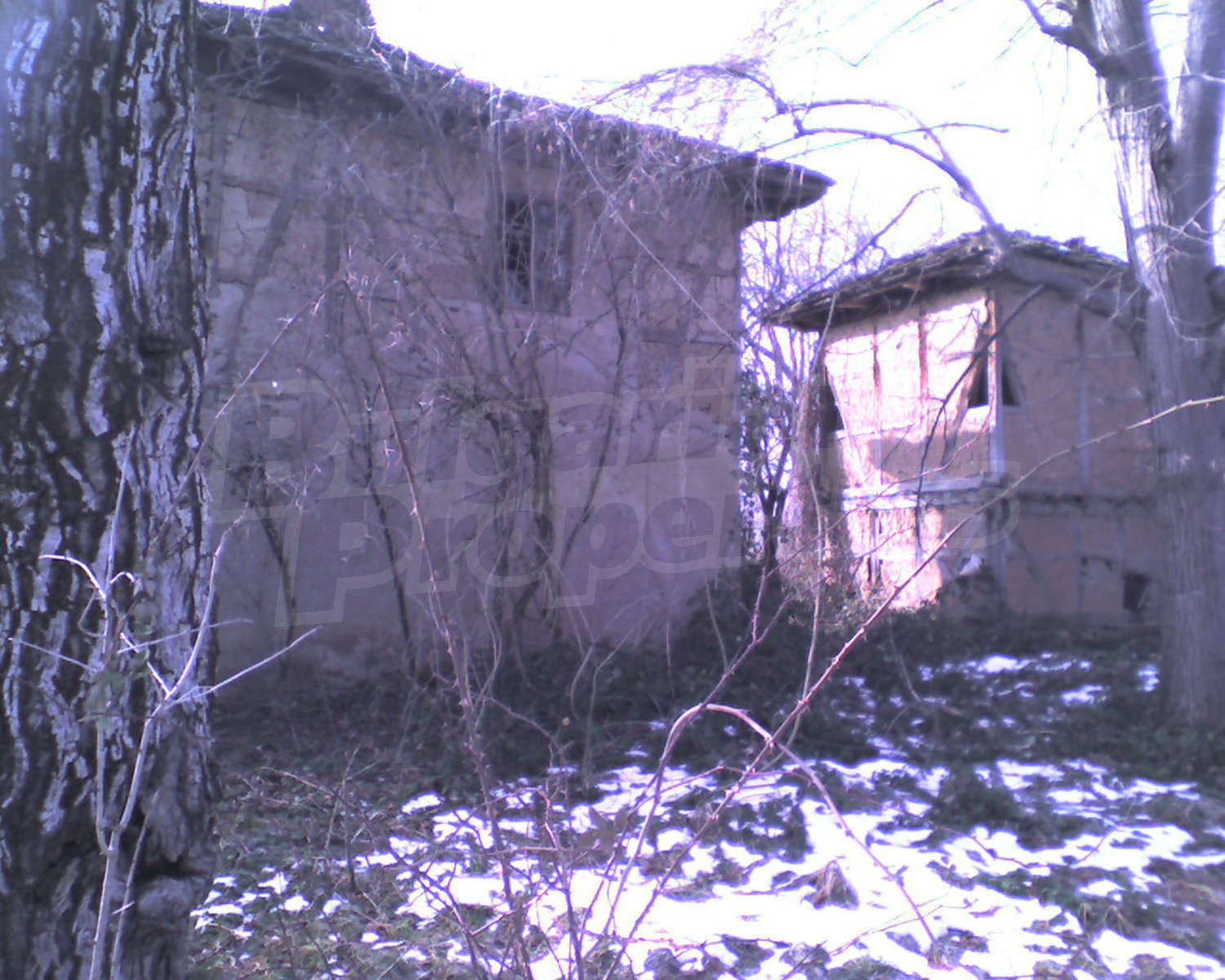 Gallery Picture 6