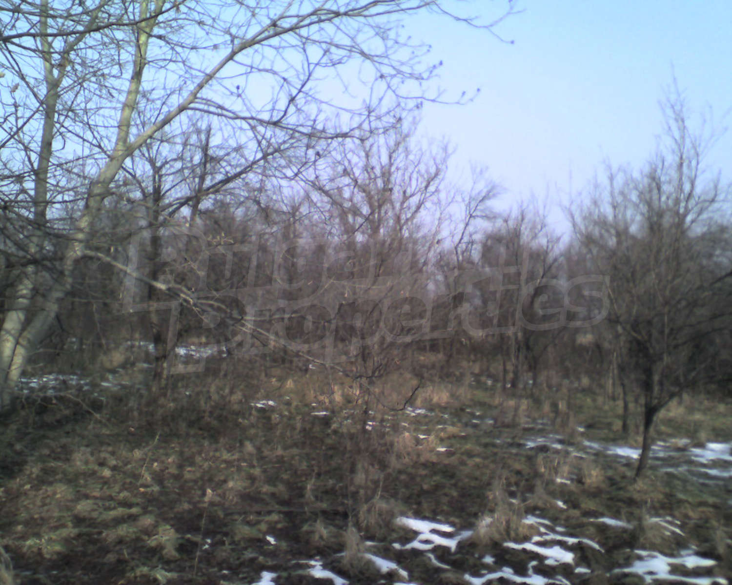 Gallery Picture 7