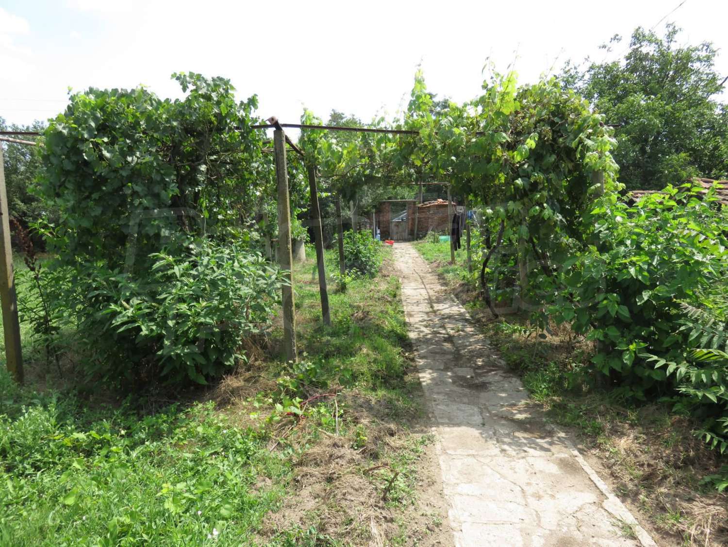 Gallery Picture 10