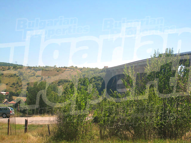 Gallery Picture 11