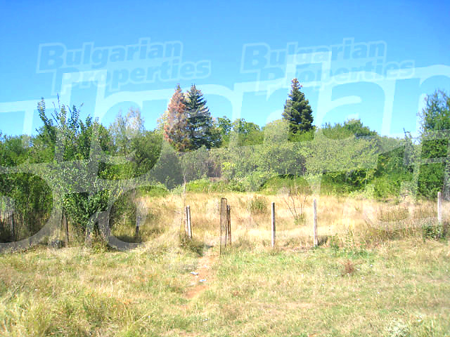 Gallery Picture 13