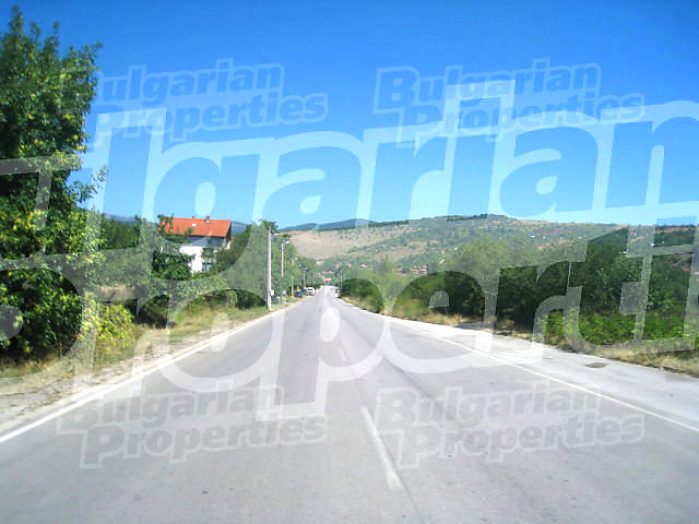 Gallery Picture 16