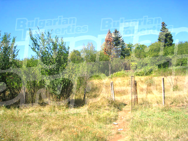 Gallery Picture 2