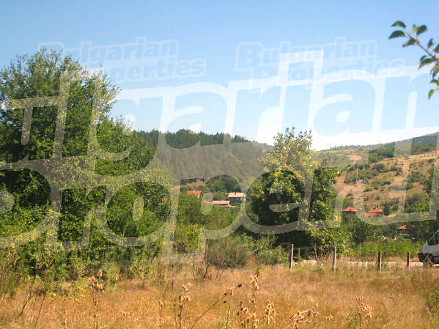 Gallery Picture 24