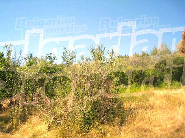 Gallery Picture 4