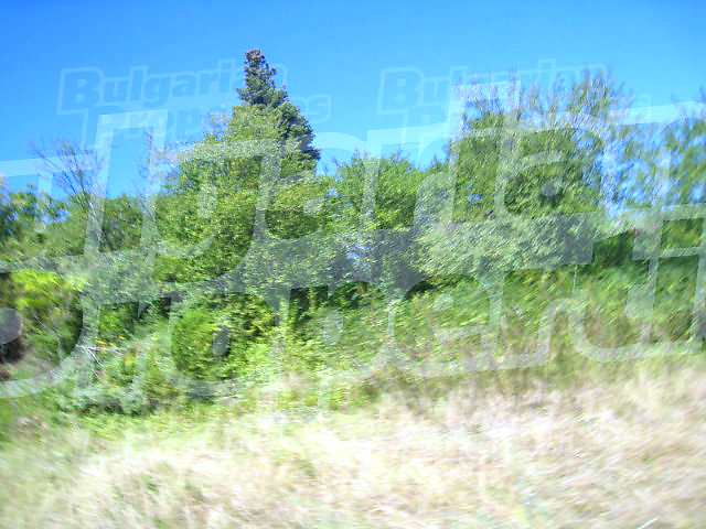 Gallery Picture 7