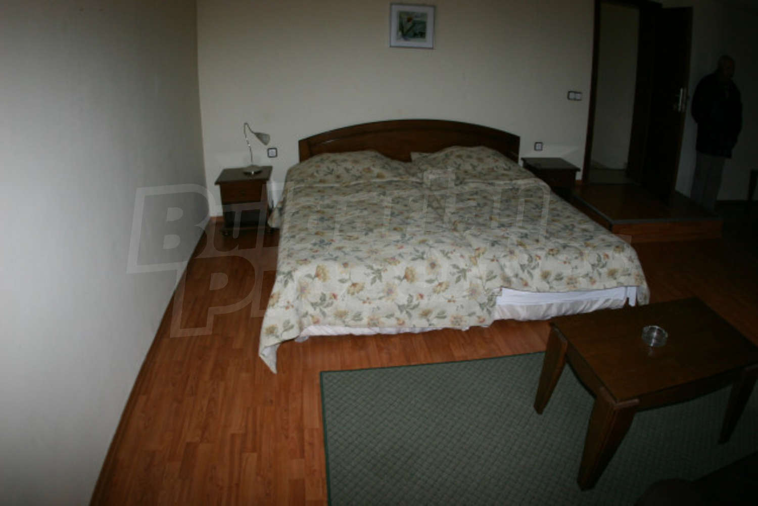 Gallery Picture 14