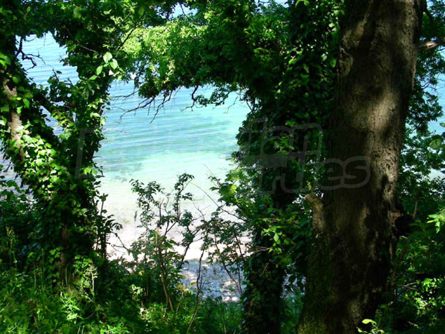 Gallery Picture 20