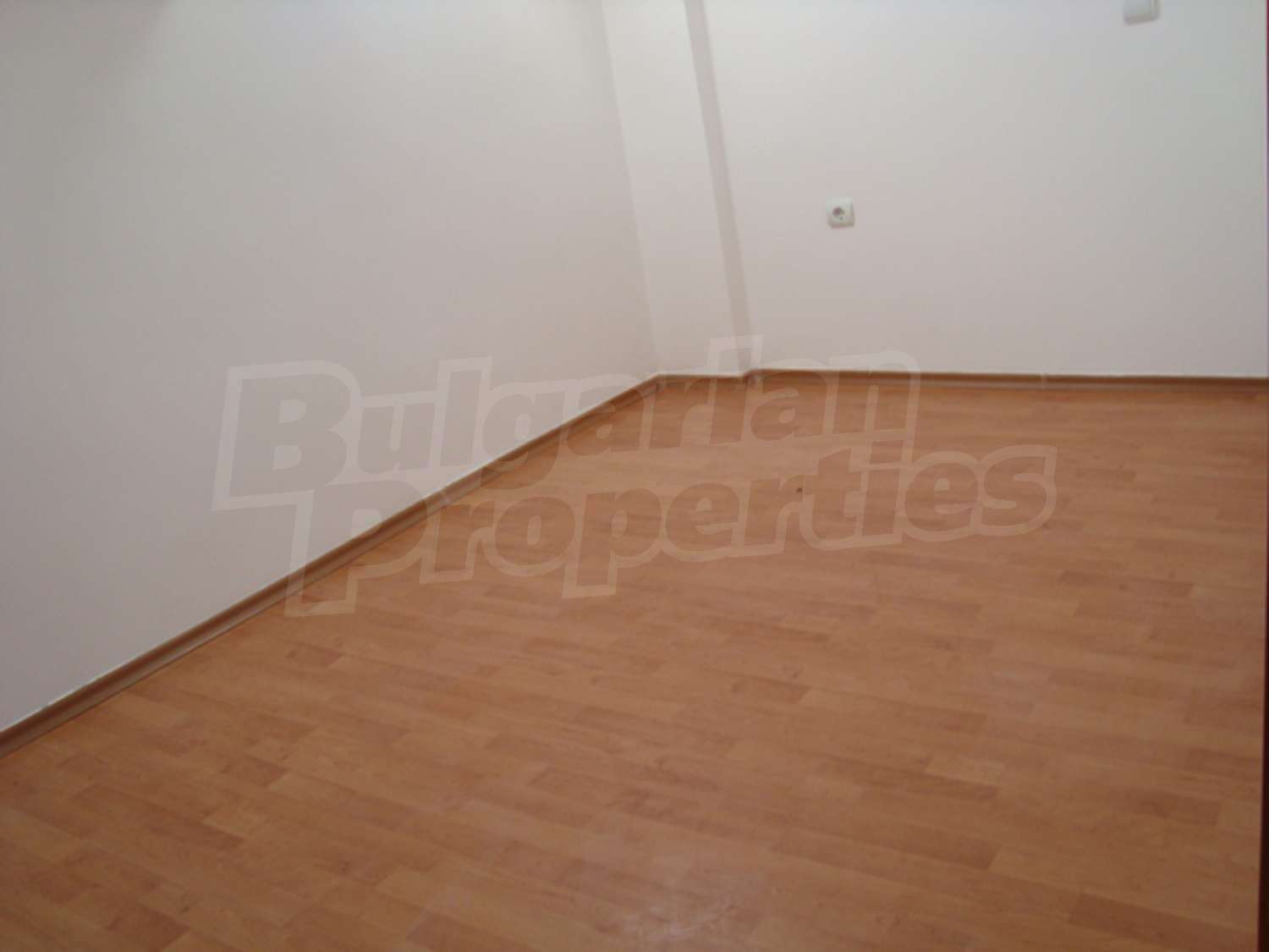 Gallery Picture 13