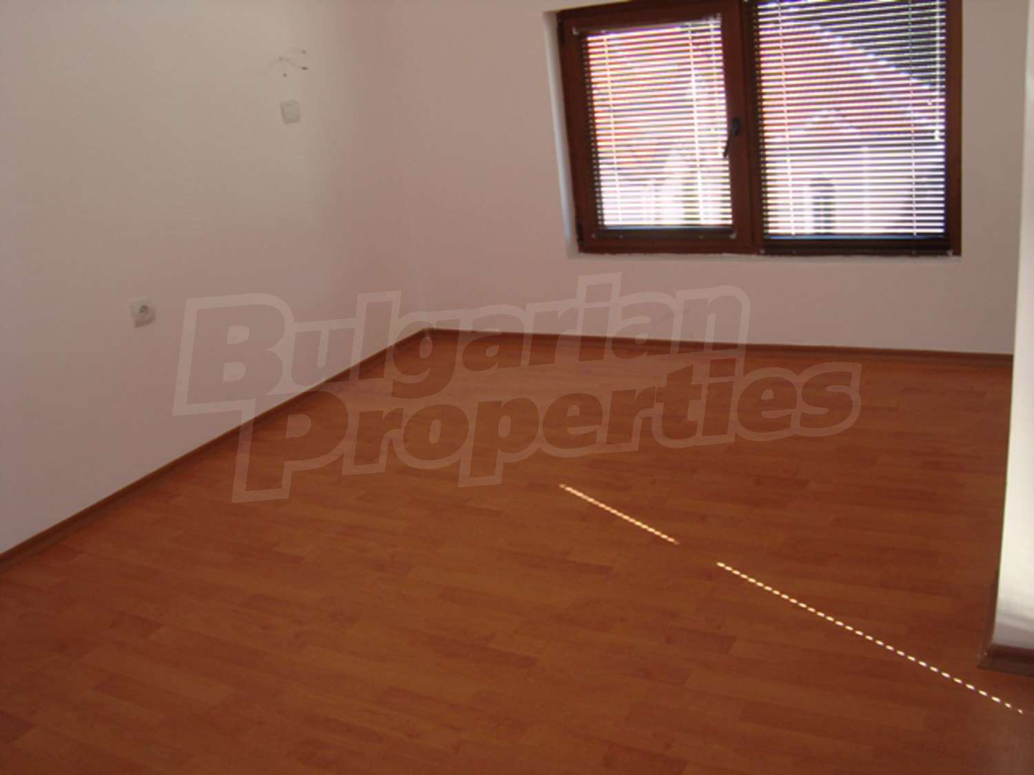 Gallery Picture 14
