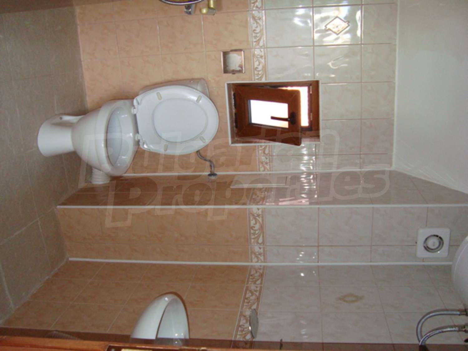 Gallery Picture 29