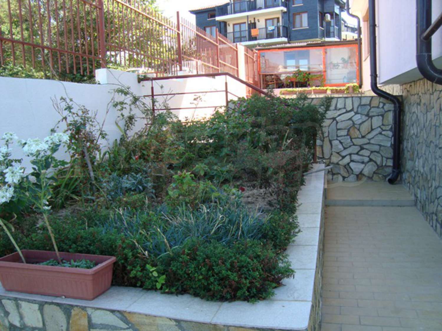 Gallery Picture 32