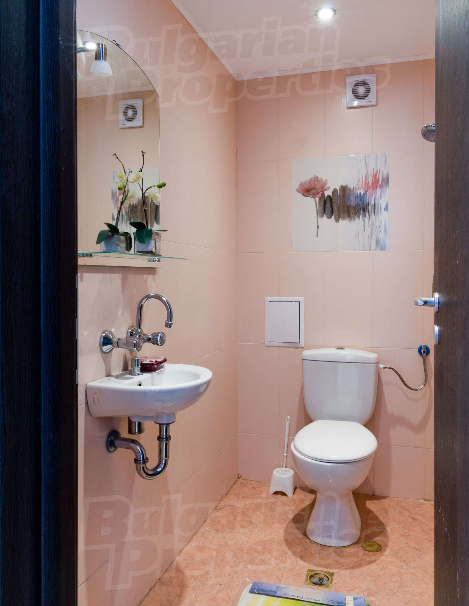 Gallery Picture 13