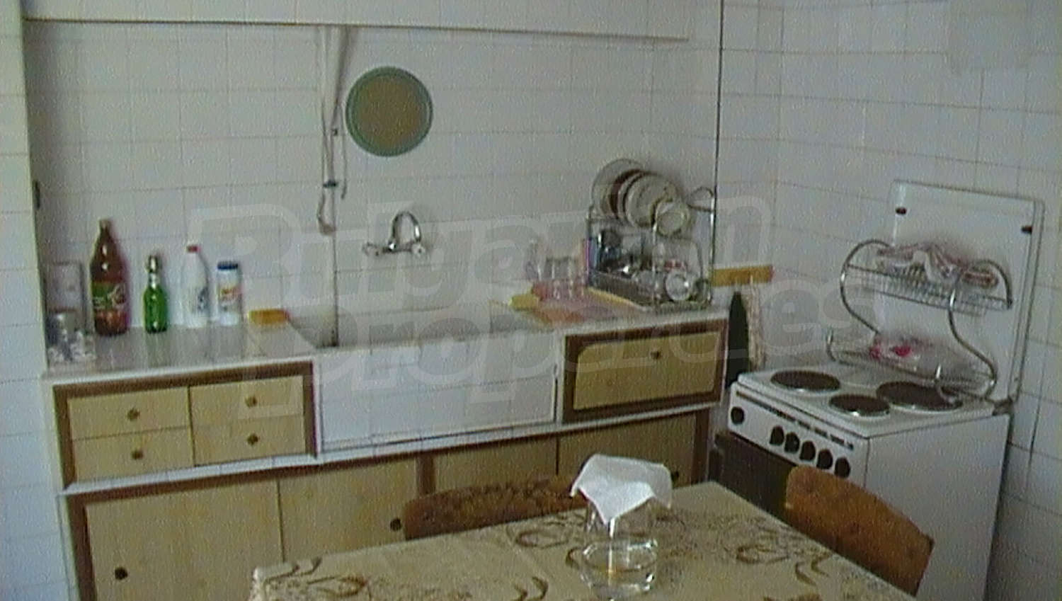 Gallery Picture 12