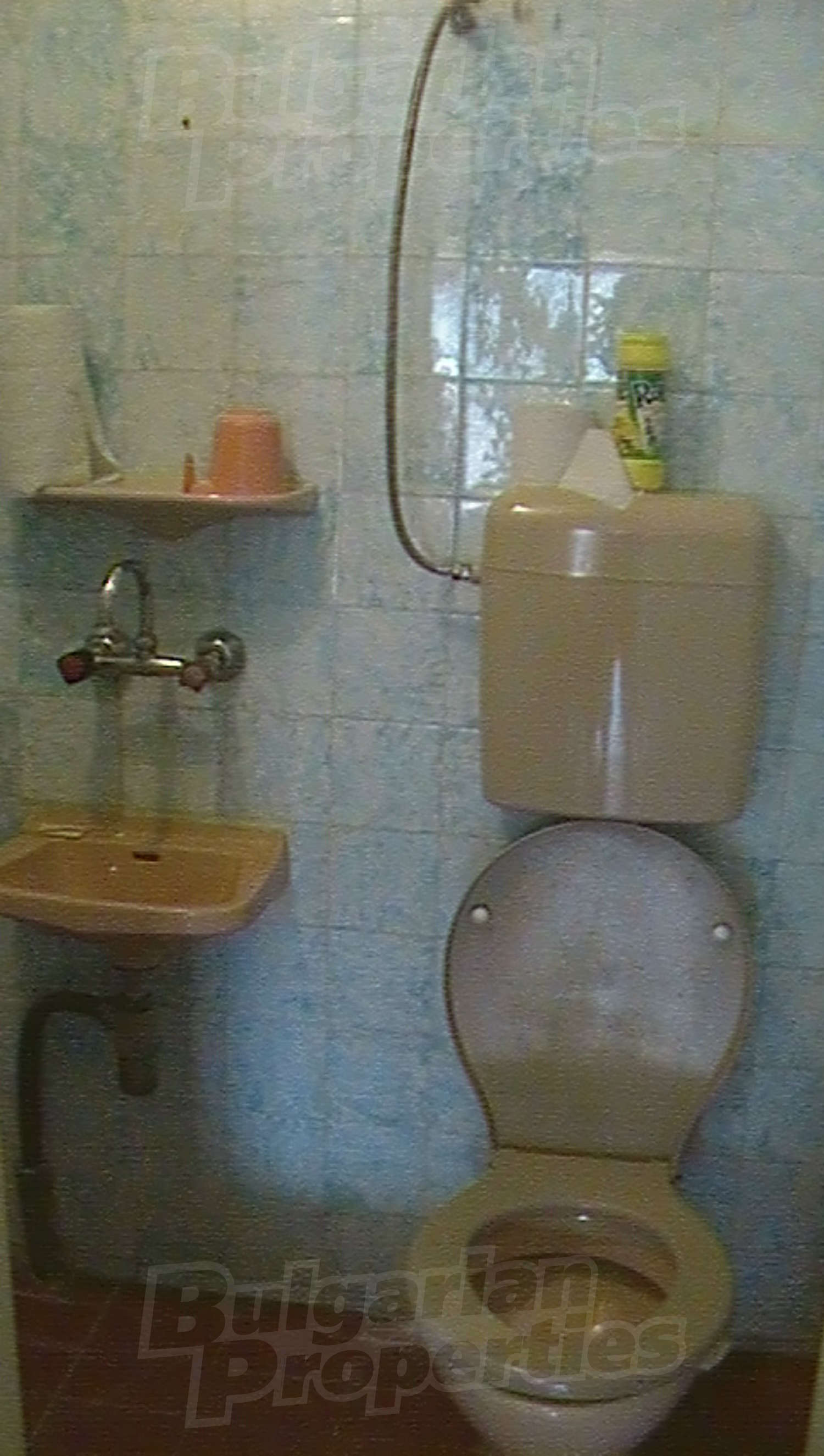 Gallery Picture 16
