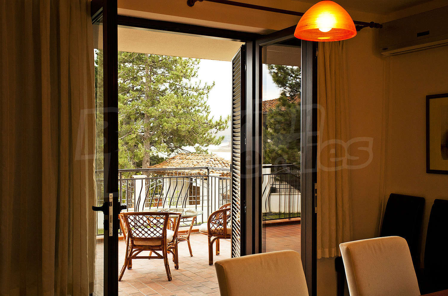 Gallery Picture 10