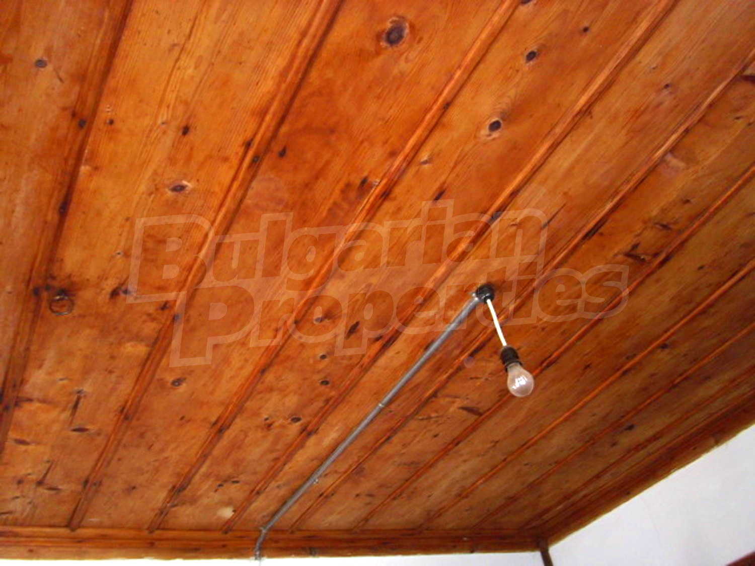 Gallery Picture 18