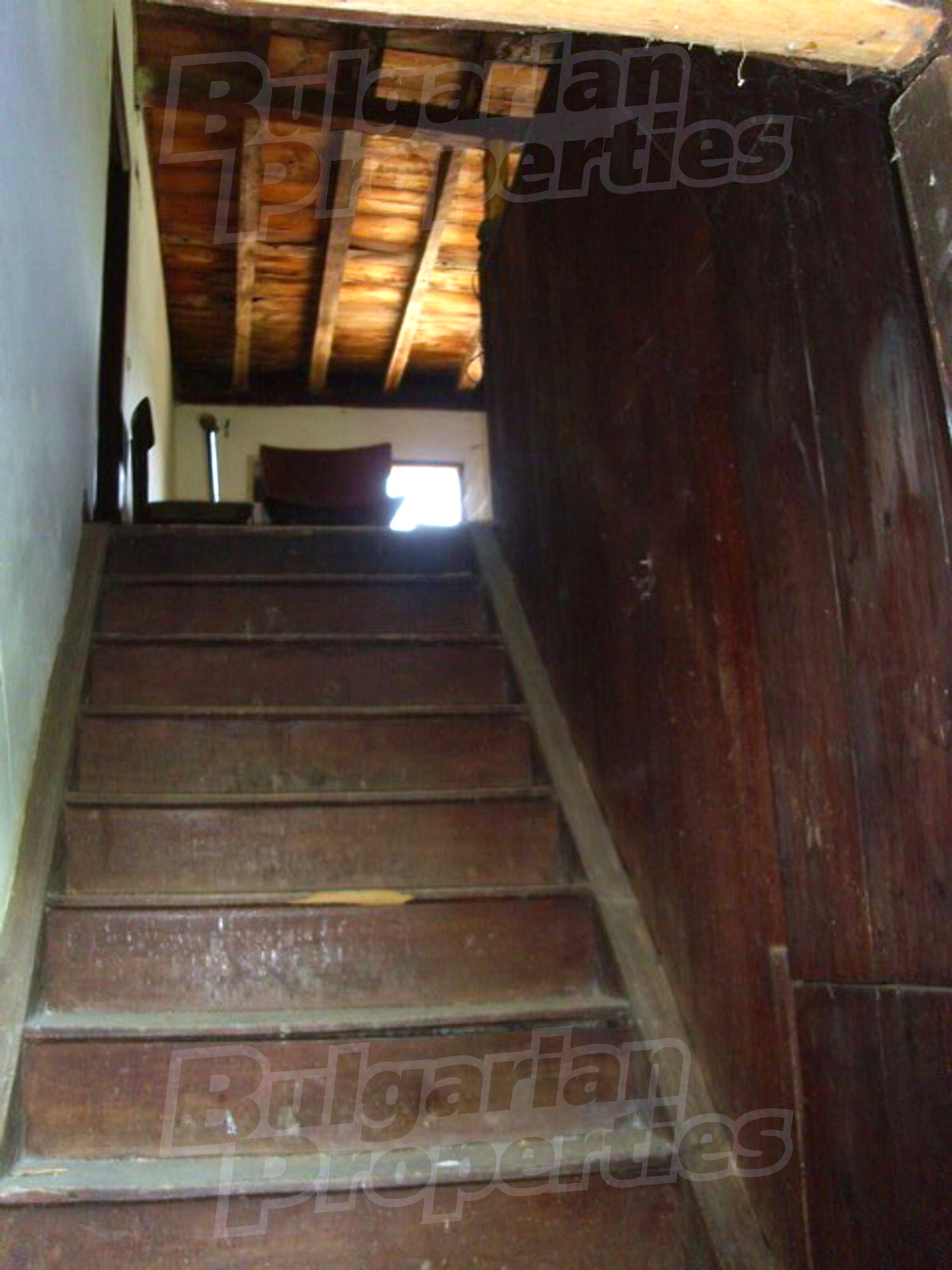 Gallery Picture 26