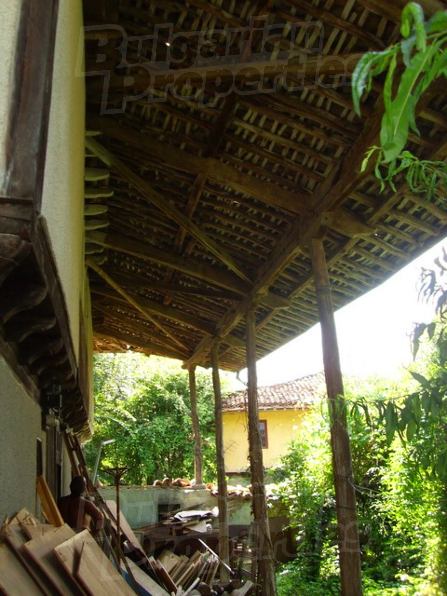 Gallery Picture 7
