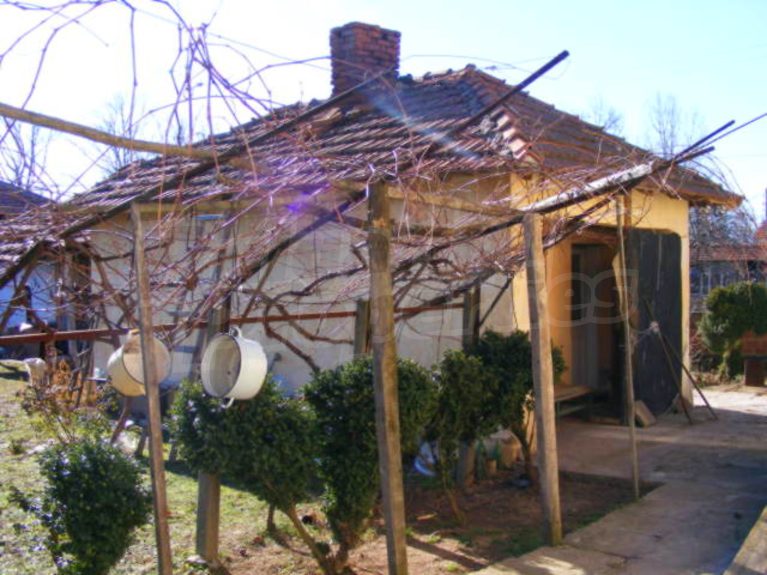 Gallery Picture 11