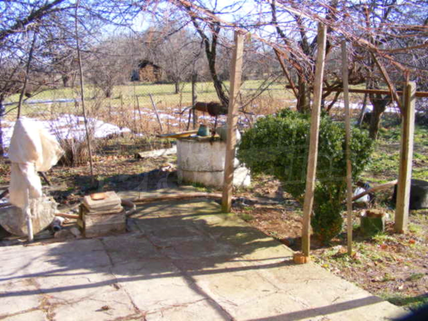 Gallery Picture 12