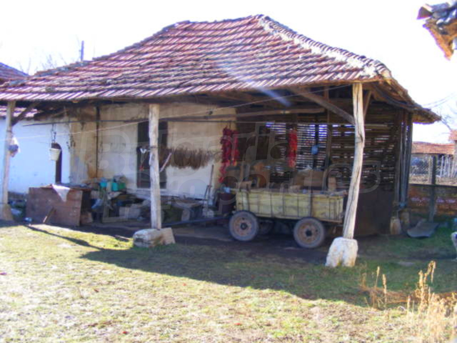 Gallery Picture 13