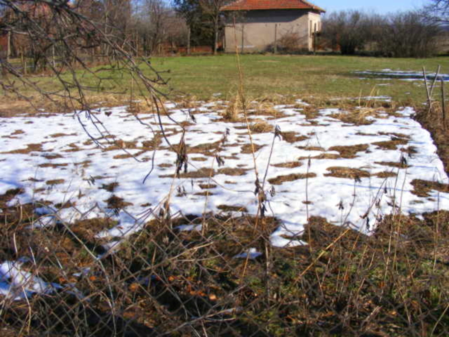 Gallery Picture 14